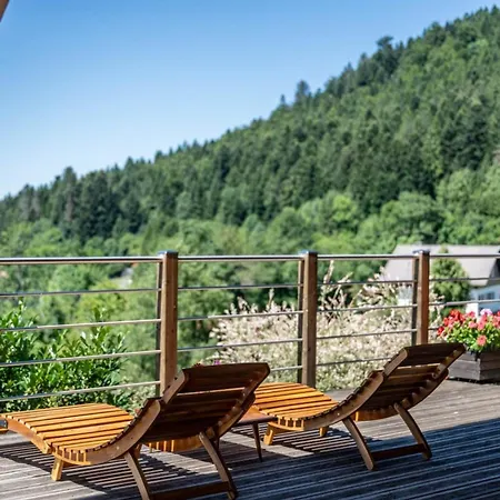 Nanook - 10 Pers - - Sauna Сasa de vacaciones Xonrupt-Longemer